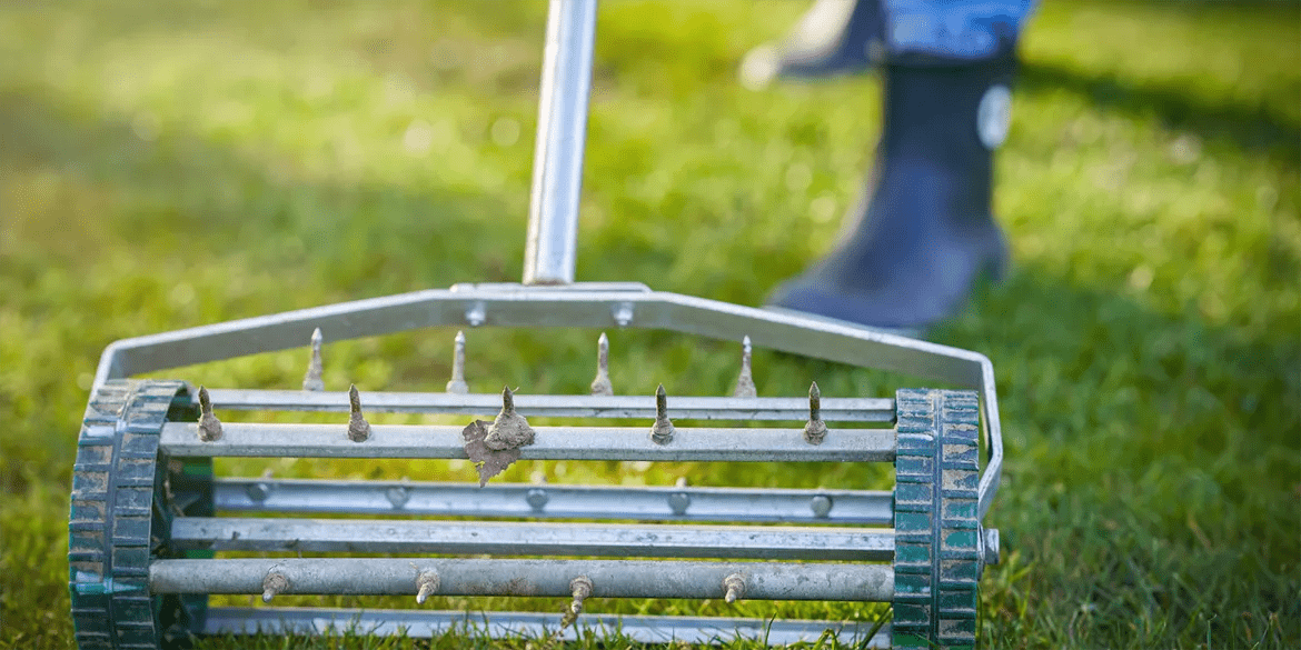 Rasen lften und aerifizieren: Alle Informationen auf einen Blick |  RasenExpert