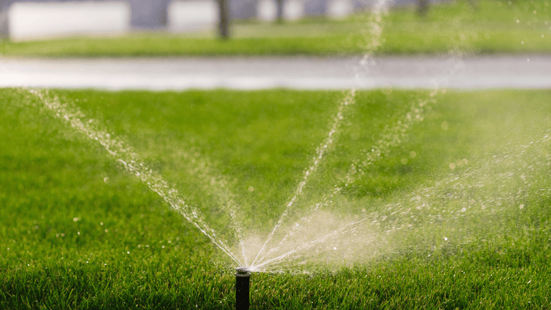 Rasen bewässern: So kannst Du Deinen Rasen richtig wässern - RasenExpert