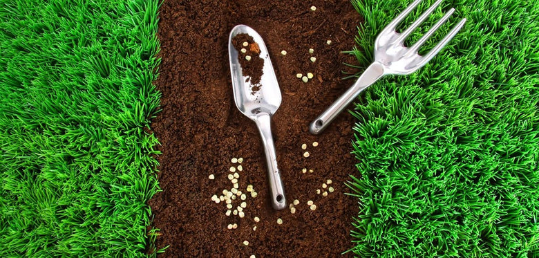 Rasen nachsäen: So kannst Du kahle Stellen einfach ausbessern - RasenExpert