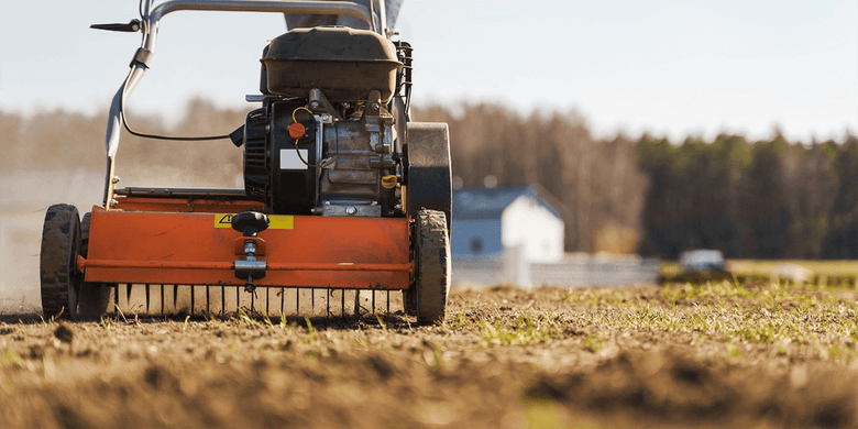 Rasen vertikutieren: Das solltest Du beachten - RasenExpert