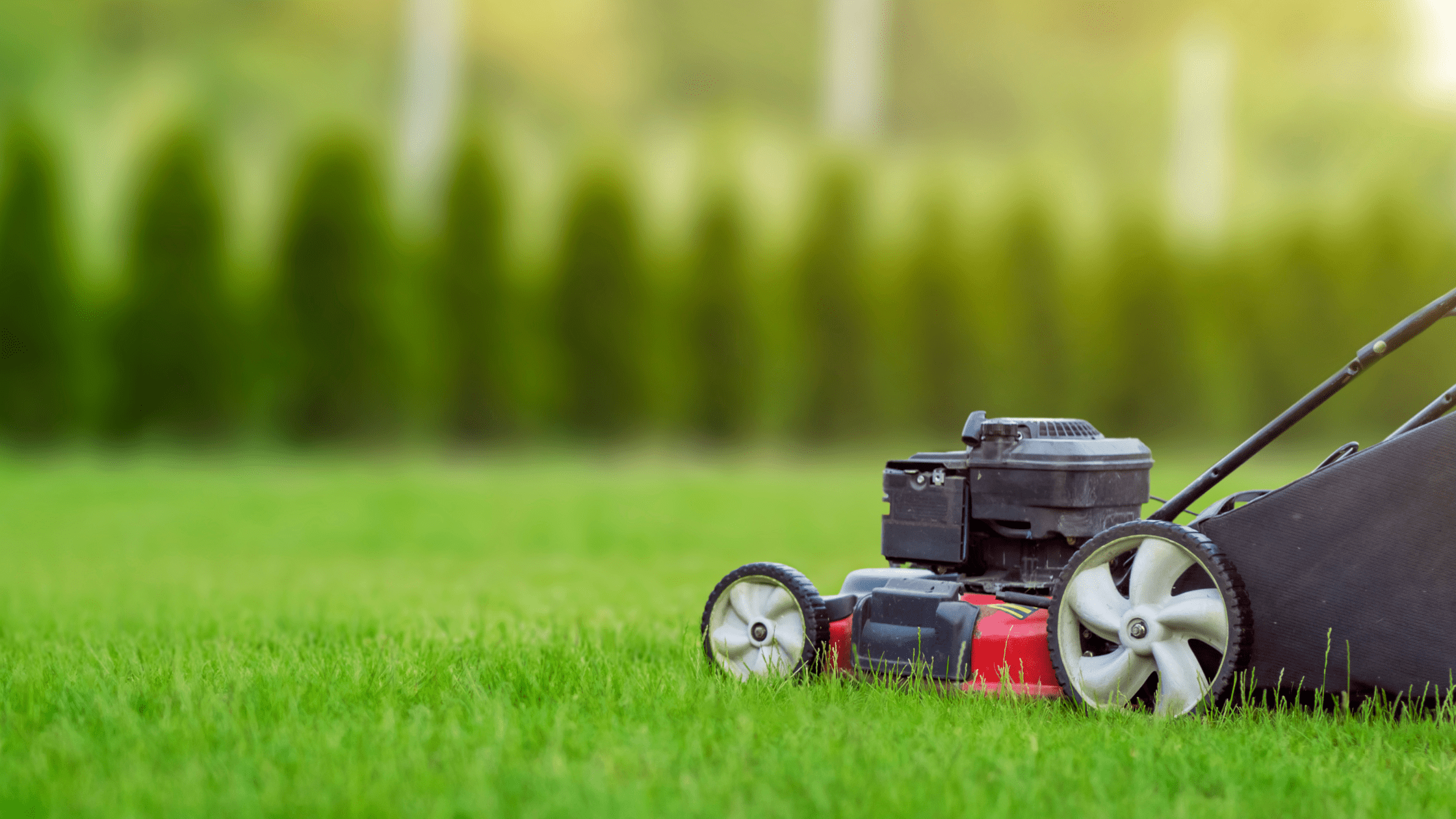 Rasenmähermesser kaufen: So machst Du es richtig - RasenExpert