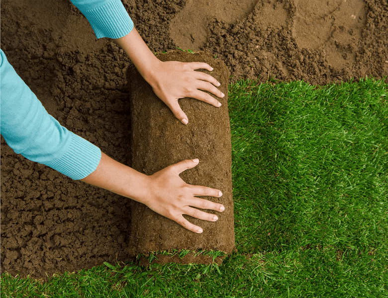 Rollrasen verlegen: Anleitung & hilfreiche Tipps - RasenExpert