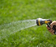 rasenexpert rasen grass bewässern
