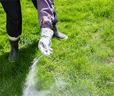 rasen vertikutieren gartenarbeit rasenpflege