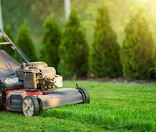 rasen mähen rasenpflege rasenexpert
