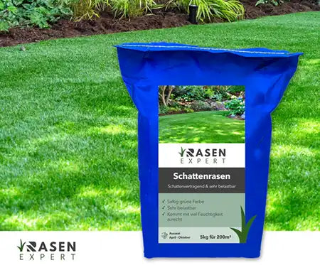 Rasensorten Finde Den Besten Rasen F r Deinen Garten RasenExpert rasensorten-finde-den-besten-rasen-f-r-deinen-garten-rasenexpert