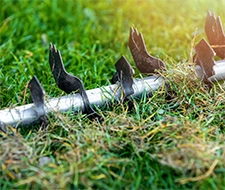 rasen vertikutieren gartenarbeit rasenpflege