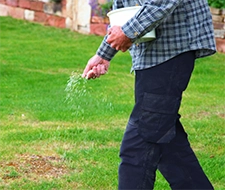 rasen vertikutieren gartenarbeit rasenpflege