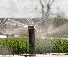 rasen vertikutieren gartenarbeit rasenpflege